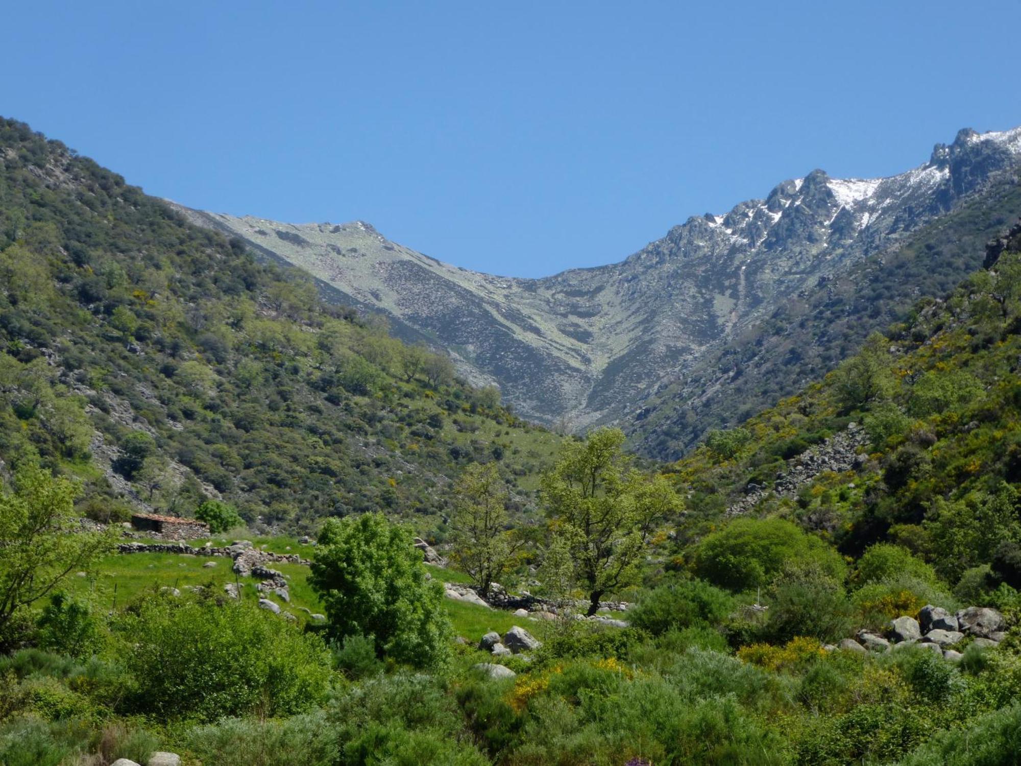 Apartamentos Rurales Entre Fuentes กัวกอสเตยุสเต ภายนอก รูปภาพ