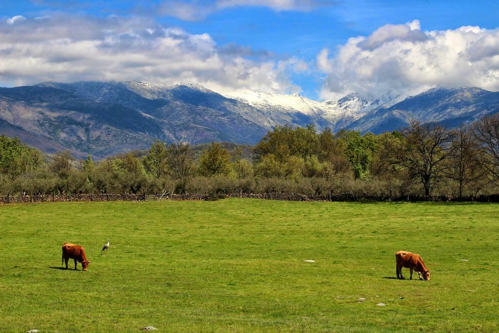 Apartamentos Rurales Entre Fuentes กัวกอสเตยุสเต ภายนอก รูปภาพ